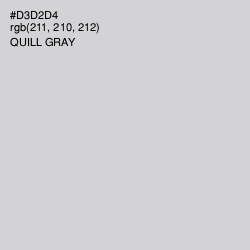 #D3D2D4 - Quill Gray Color Image